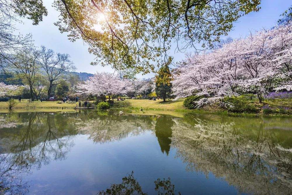 江蘇：2019年高職（專科）批次錄取全面展開 8月4日征集志愿