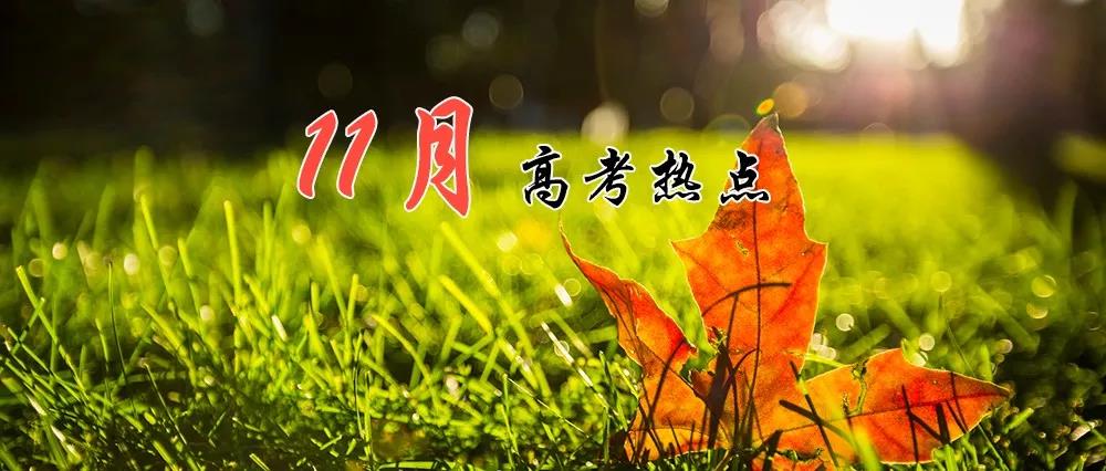 高考熱點 | 11月：高考報名、期中考、藝術類省統(tǒng)考報名、招飛 ?